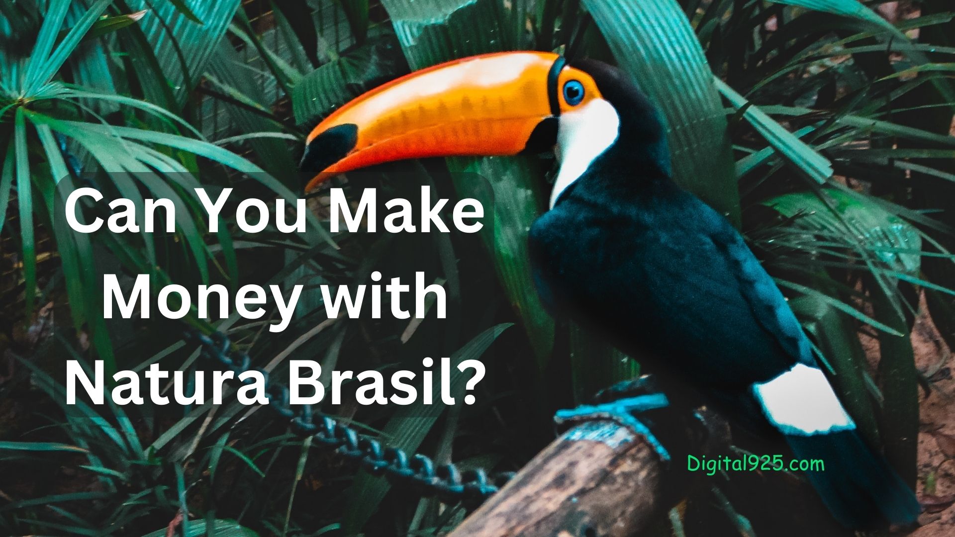 Can You Make Money with Natura Brasil