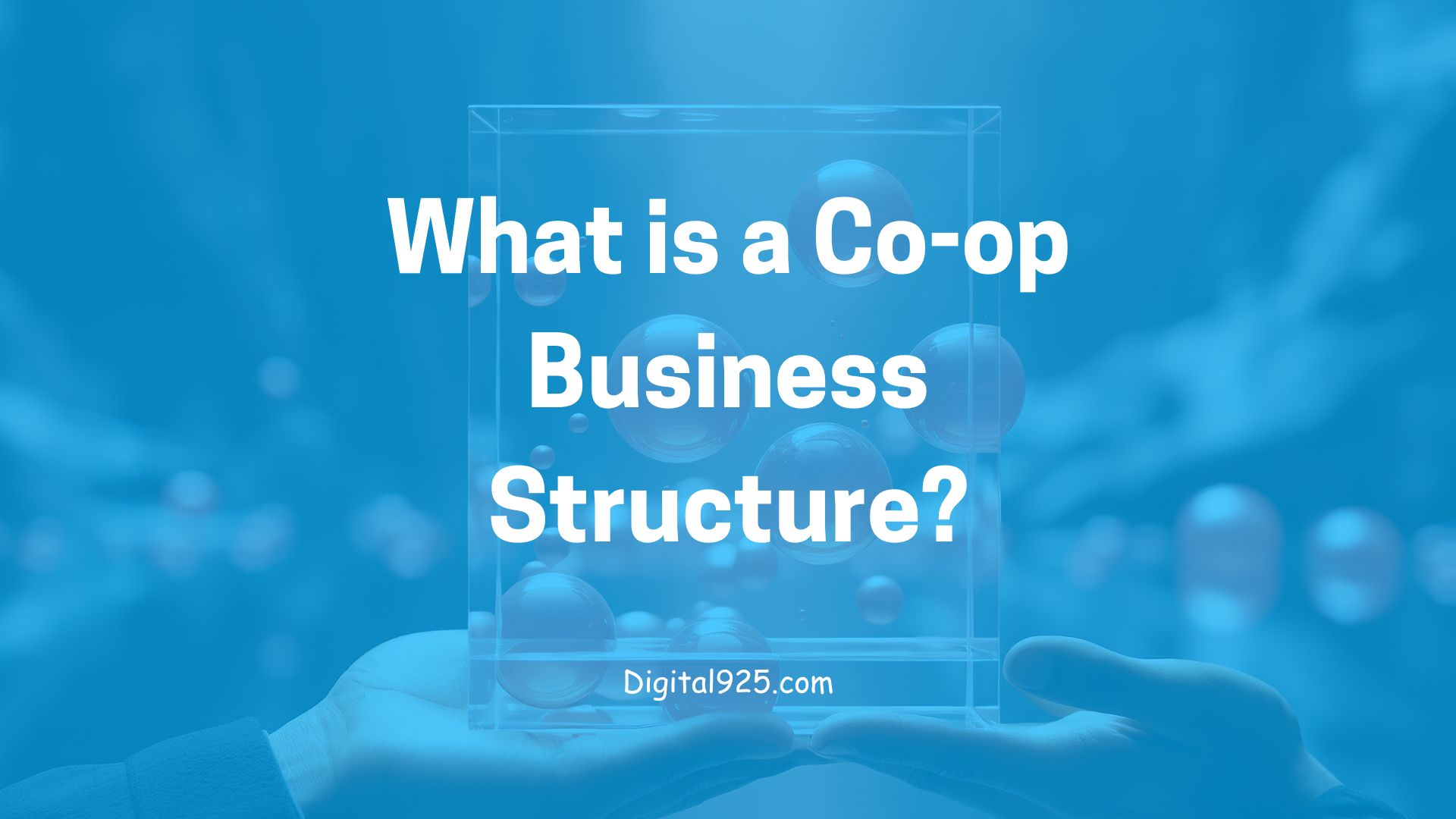 What is a Co-op Business Structure?